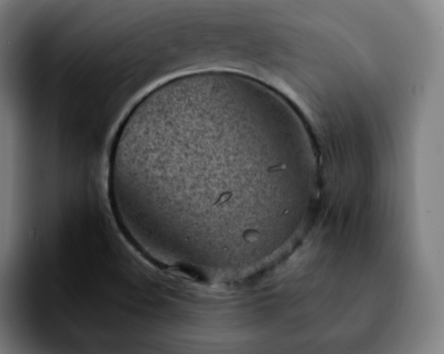 X0000092221508200709210958