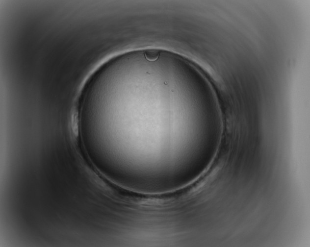 X0000092221510200709210958