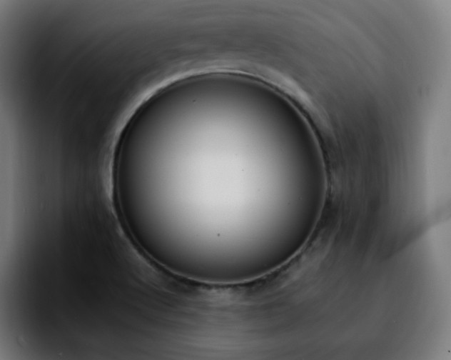 X0000092221512200709210958