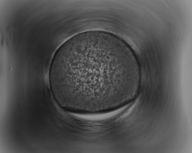 X0000092221513200709210958