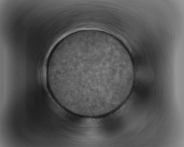 X0000092221514200709210958