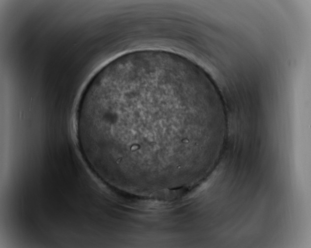 X0000092221517200709210958