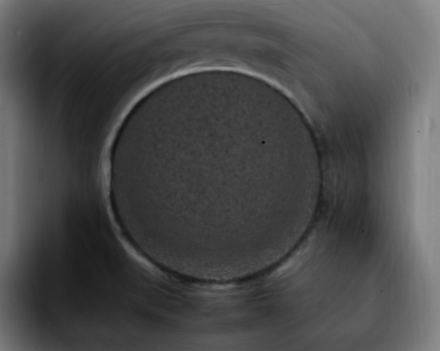 X0000092221519200709210958