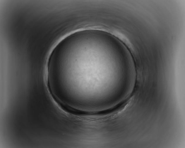 X0000092221520200709210958