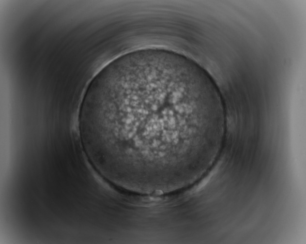 X0000092221521200709210958