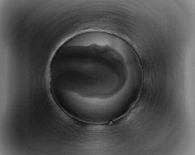 X0000092221522200709210958