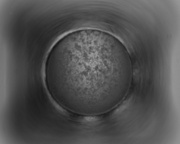 X0000092221523200709210958