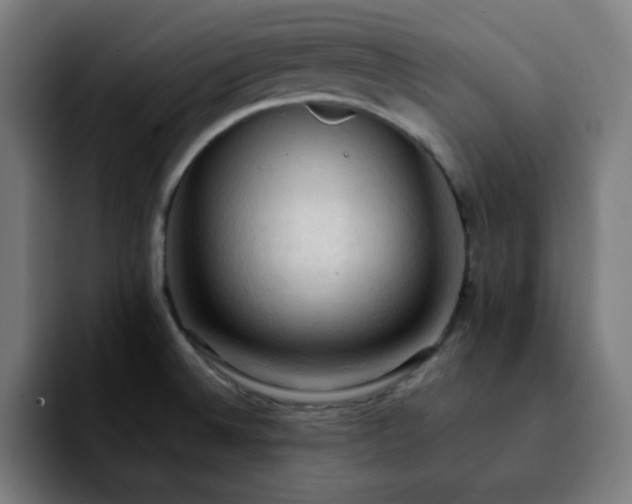X0000092221524200709210958