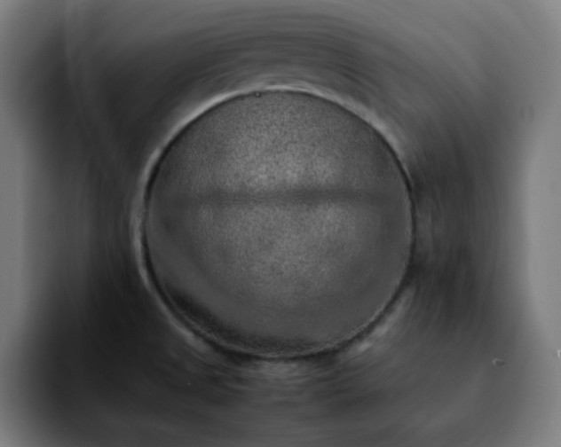 X0000092221525200709210958