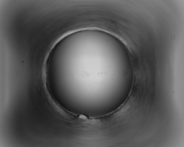 X0000092221526200709210958