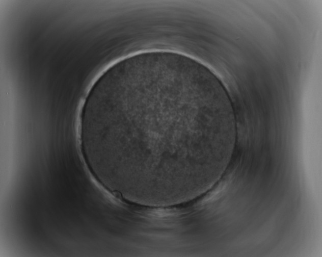 X0000092221527200709210958