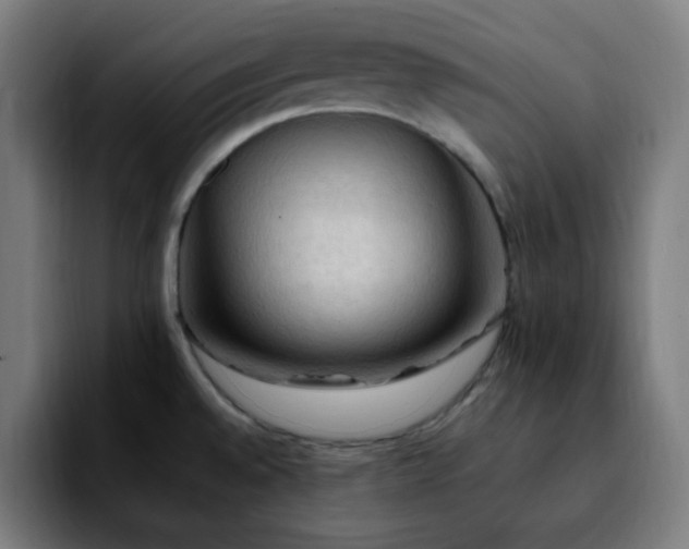 X0000092221528200709210958