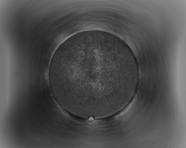 X0000092221529200709210958
