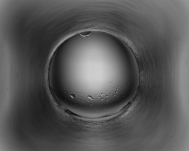 X0000092221530200709210958