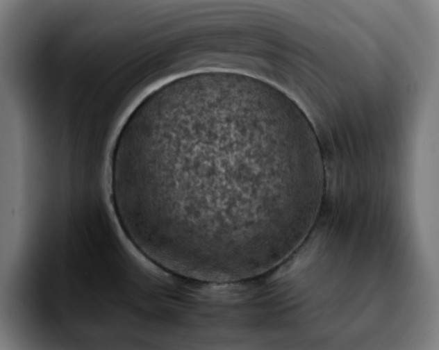 X0000092221531200709210958