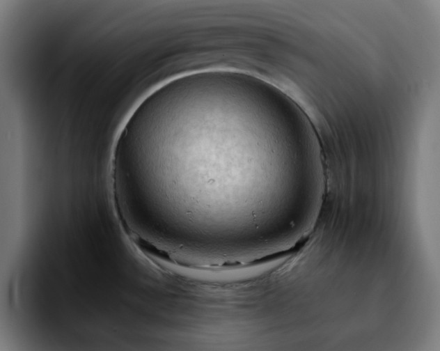 X0000092221532200709210958
