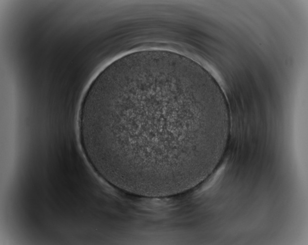 X0000092221533200709210958