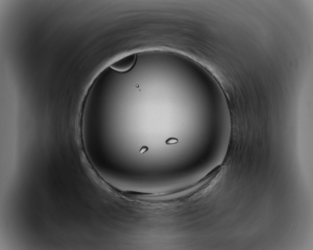 X0000092221534200709210959