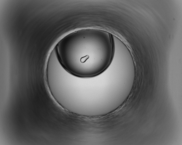 X0000092221536200709210959