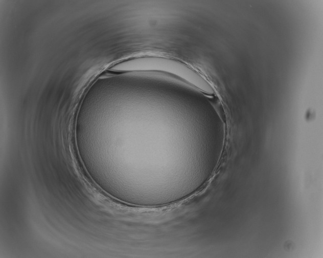 X0000092220001200709281053