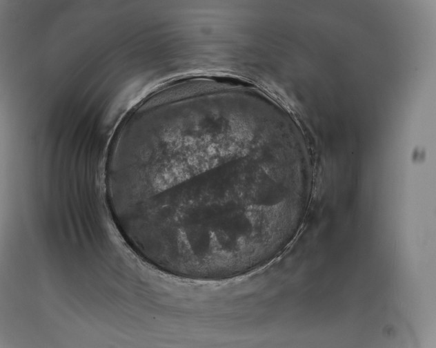 X0000092220002200709281053