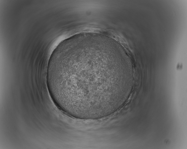 X0000092220003200709281053
