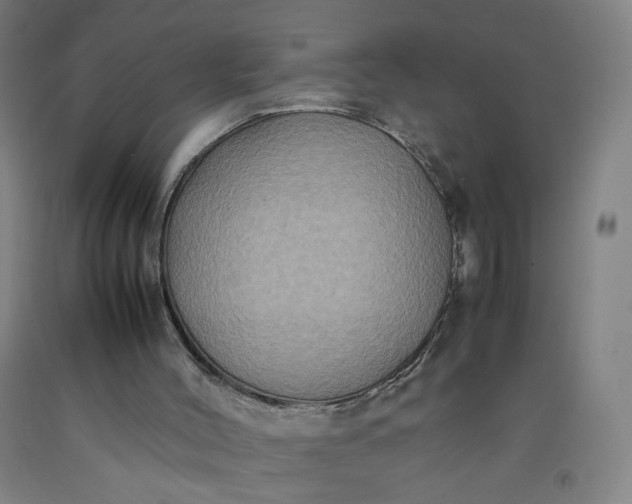 X0000092220004200709281053