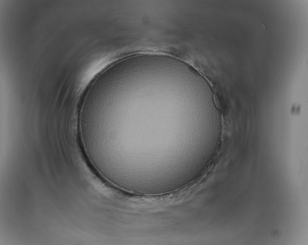 X0000092220005200709281053