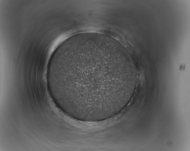 X0000092220006200709281053