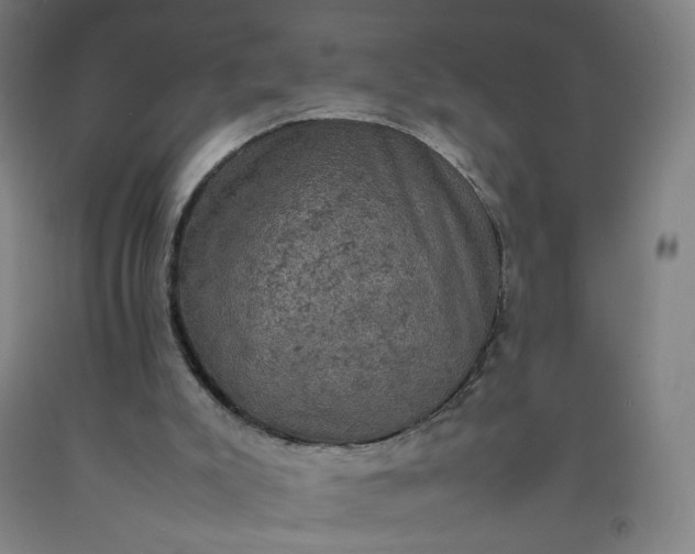 X0000092220007200709281053