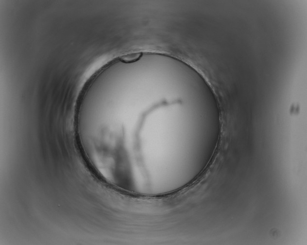 X0000092220008200709281053
