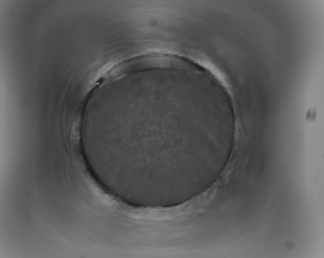 X0000092220009200709281053