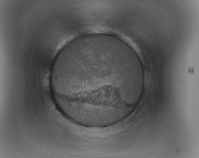 X0000092220010200709281053