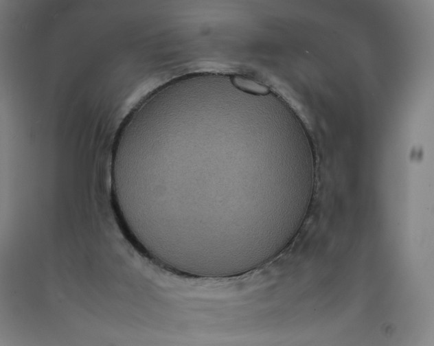 X0000092220011200709281053
