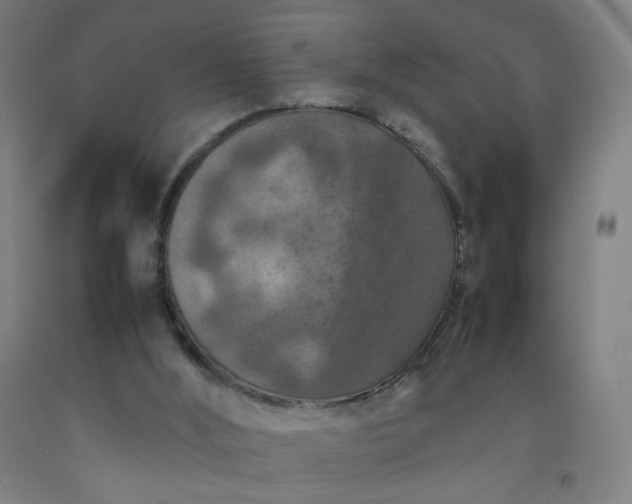 X0000092220012200709281053