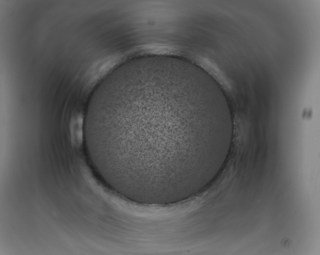 X0000092220014200709281053