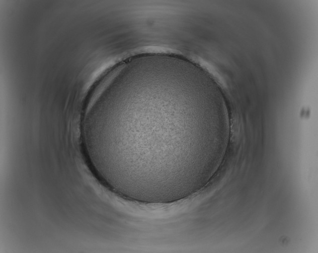 X0000092220015200709281053