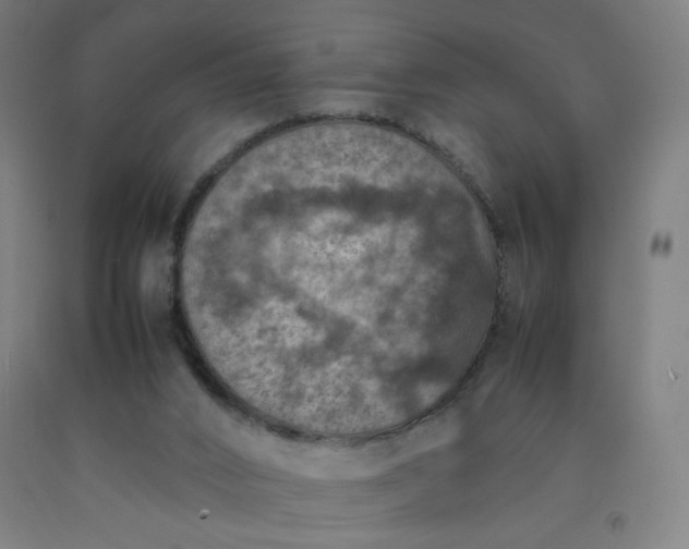 X0000092220016200709281053