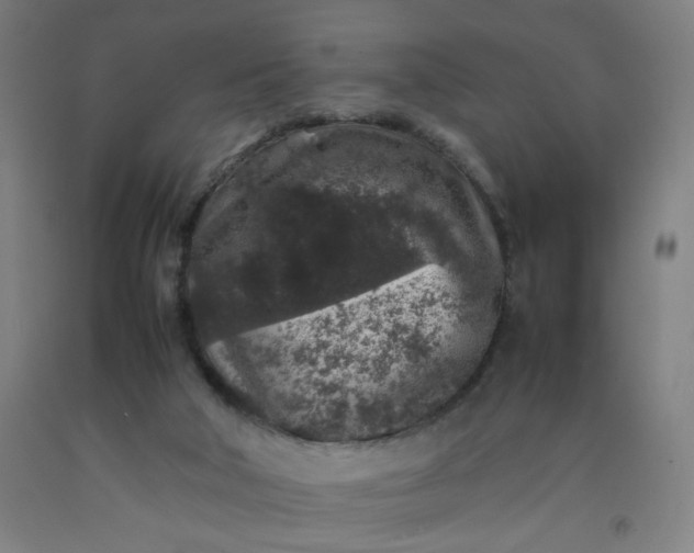 X0000092220018200709281053