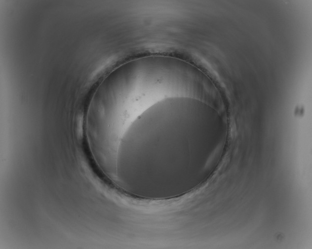 X0000092220019200709281053