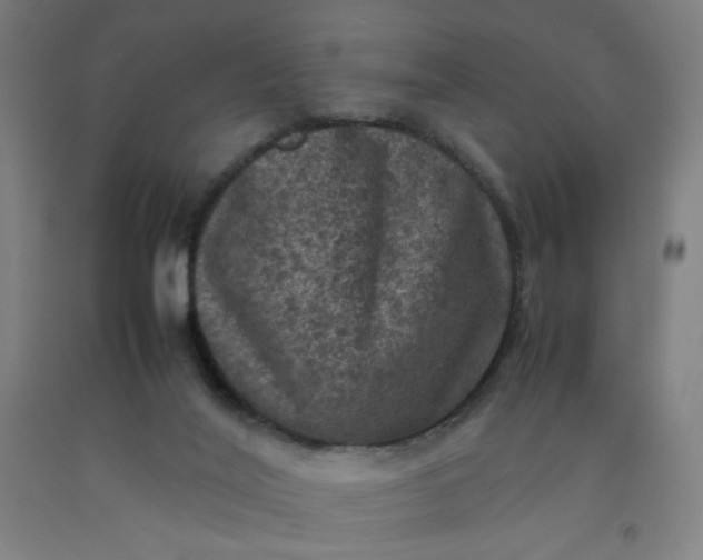 X0000092220020200709281053