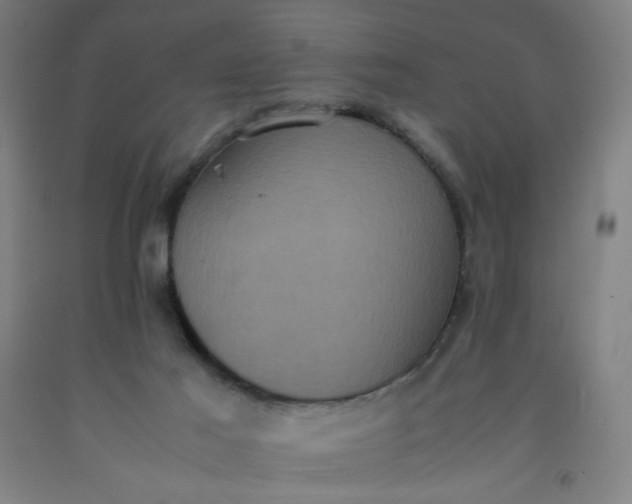 X0000092220021200709281053