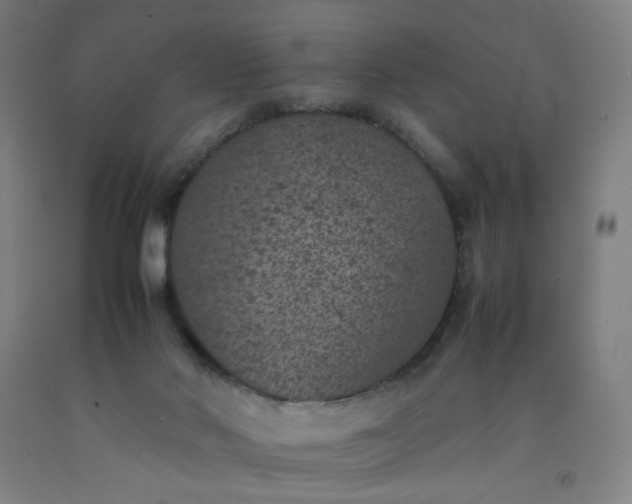 X0000092220022200709281053