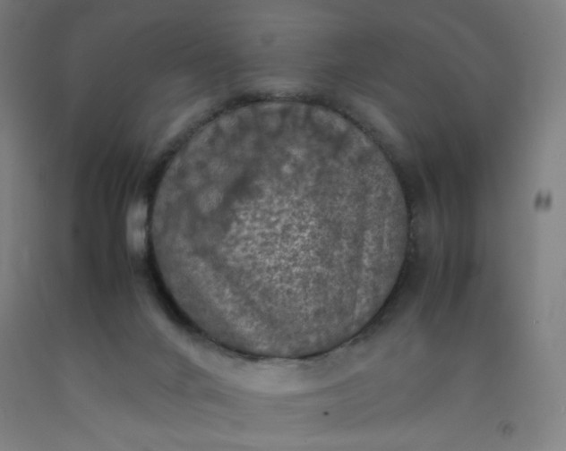 X0000092220024200709281053