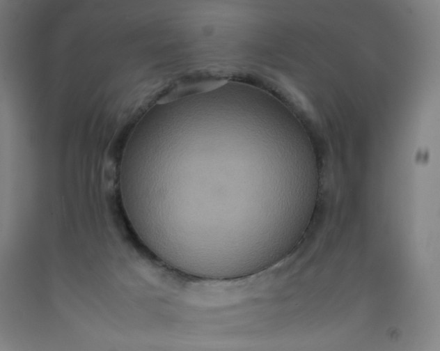 X0000092220025200709281053