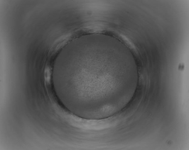 X0000092220026200709281053