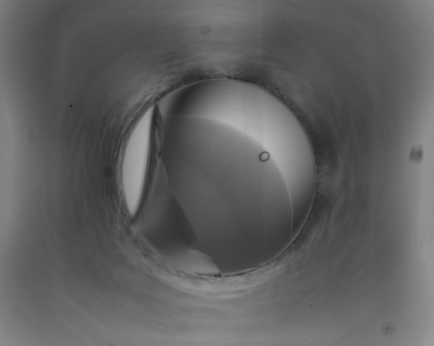 X0000092220027200709281053
