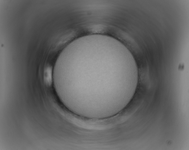 X0000092220028200709281052