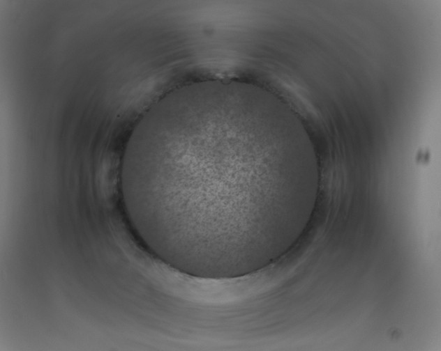 X0000092220030200709281052