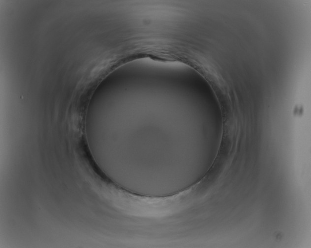 X0000092220031200709281052